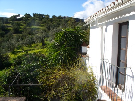 Finca 2 web