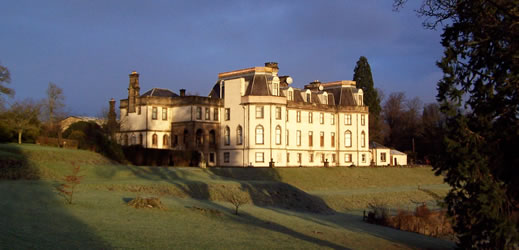 back_of_house_sunlit[1]
