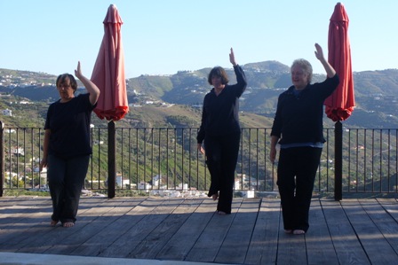 tai chi web